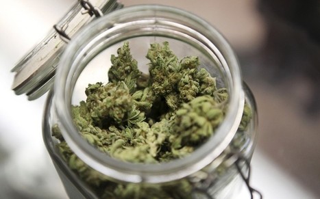 Cannabis drug company GW Pharmaceuticals reports bigger losses (UK) | Beckley News : Cannabis - Marijuana | Scoop.it