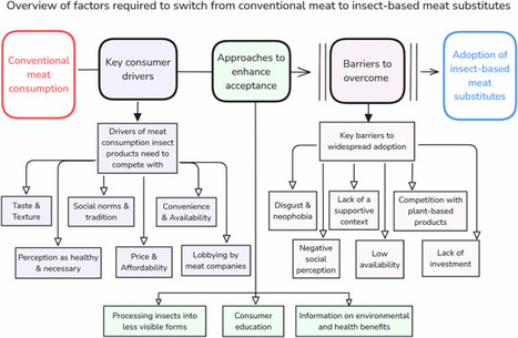 Beyond the buzz: insect-based foods are unlikely to significantly reduce meat consumption | npj | RMH | Scoop.it