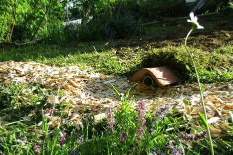 Un système d’assainissement écolo et pas cher bientôt autorisé ? | Build Green, pour un habitat écologique | Scoop.it