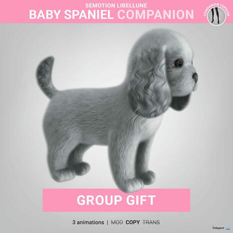 Baby Spaniel Companion 7th Anniversary May 2025 Group Gift by SEmotion Libellune | Teleport Hub - Second Life Freebies | Second Life Freebies | Scoop.it