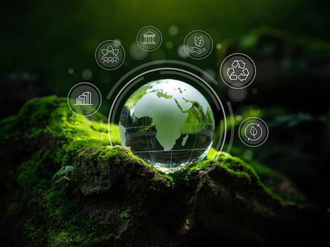 Bank regulators call for voluntary climate disclosure | Wealth Advisors Report - Accumulating, Preserving, and Transitioning Wealth | Scoop.it