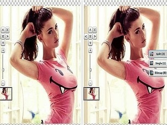 Convertir une photo en image vectorielle avec Vectormagic | Retouches et effets photos en ligne | Scoop.it