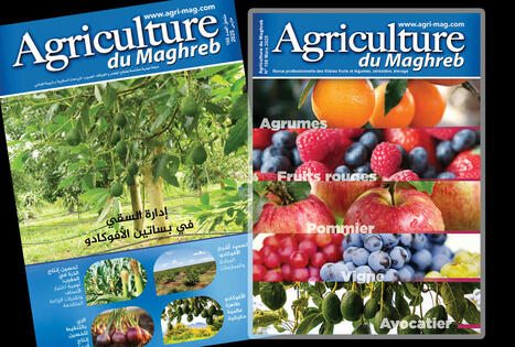 Découvrez le numéro de mars d'AGRICULTURE du MAGHREB | CIHEAM Press Review | Scoop.it