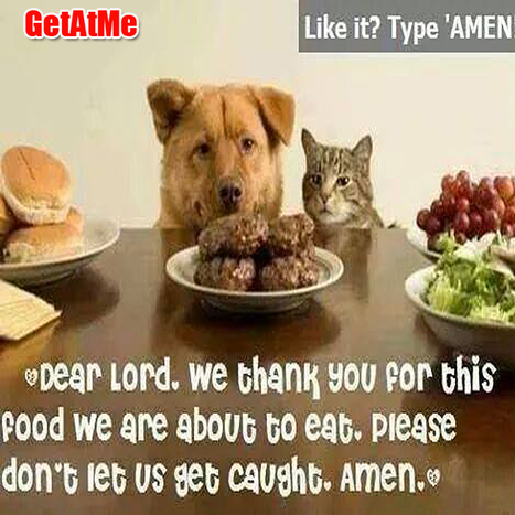 GetAtMe Dear Lord, please don't let us get caught... Amen #HappyThanksGiving | GetAtMe | Scoop.it
