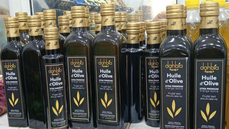Dahbia, quand la steppe algérienne donne une huile d’olive d’exception | ITERG - Veille sectorielle | Scoop.it