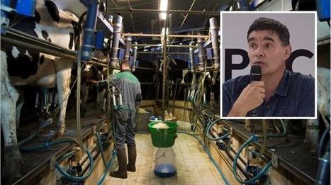 Prix du lait - Gérard You : « Le prix du lait pourrait très vite atteindre un plafond » | Lait de Normandie... et d'ailleurs | Scoop.it