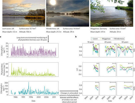 Ecological resilience in lakes and the conjunction fallacy | Biodiversité | Scoop.it