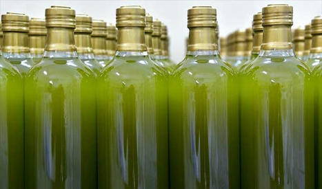 L’ITALIE, le premier pays importateur de l’huile d’olive biologique TUNISIENNE | CIHEAM Press Review | Scoop.it
