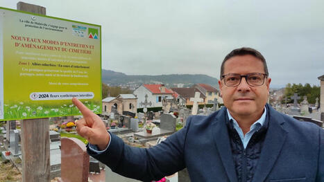 Un maire lorrain interdit les fleurs synthétiques sur les tombes : « C’est un fléau » - Le Parisien | Plusieurs idées pour la gestion d'une ville comme Namur | Scoop.it