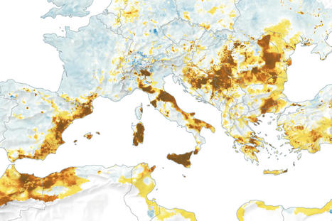 Une sécheresse critique s’installe durablement dans le bassin méditerranéen | MED-Amin network | Scoop.it