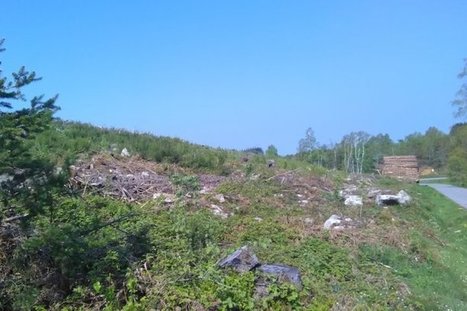 En Corr&egrave;ze, une usine &agrave; biomasse va&nbsp;st&eacute;riliser la for&ecirc;t | ACIPA | Scoop.it