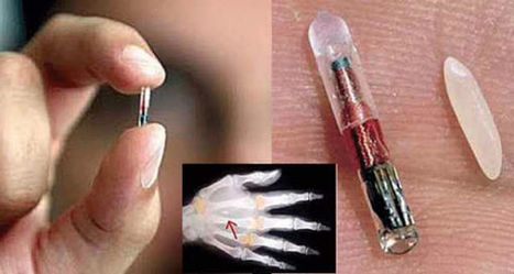 All Americans to be Microchipped by 2017 | Future  Technology | Scoop.it