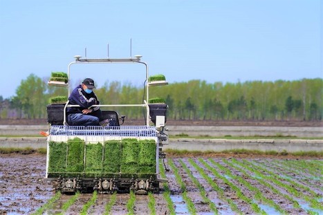 ASIE : How agritech driven by data is modernizing farming in Asia | Pour innover en agriculture | Scoop.it