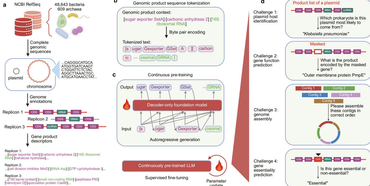 Decoding Prokaryotic Whole Genomes with a Produ...