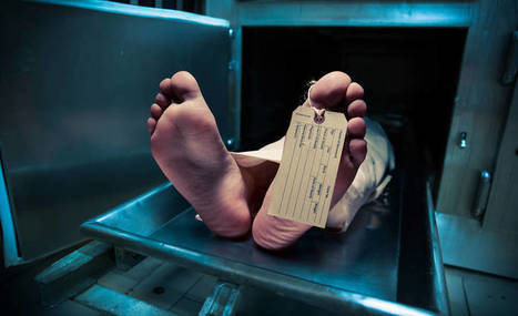 Yhä useampi ihminen lahjoittaa kehonsa kuoleman jälkeen tiedekäyttöön | 1Uutiset - Lukemisen tähden | Scoop.it
