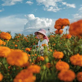 Chine : dans l'usine du monde, le dernier bastion du "fait main" | Kunming-Yunnan | Scoop.it