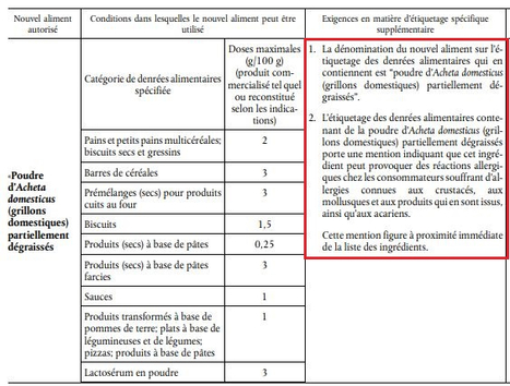 Nouveaux aliments : la présence d'insectes obligatoirement mentionnée sur les étiquettes | EntomoNews | Scoop.it