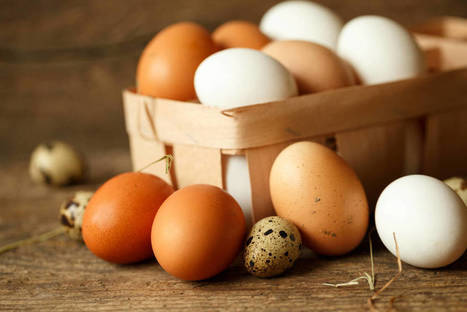 A Espa&ntilde;a le sobran huevos (sanos) para aprovechar la crisis en Europa #Econom&iacute;a | &iquest;Qu&eacute; est&aacute; pasando? | Scoop.it