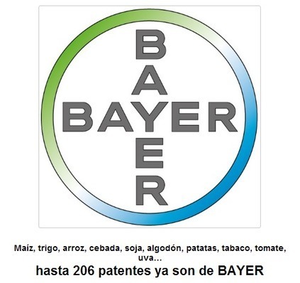 Maíz, trigo, arroz, cebada, soja, algodón, patatas, tabaco, tomate, uva…hasta 206 patentes ya son de BAYER | PIENSA en VERDE | Scoop.it