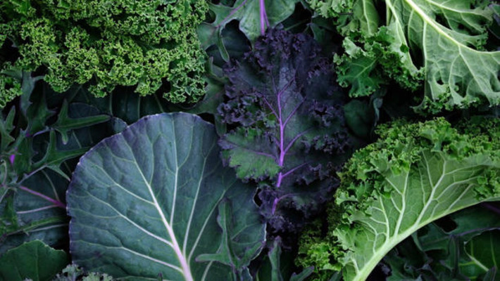 The 5 Best Foods for Kidney Health, According to a Dietitian | The Health Report | Scoop.it