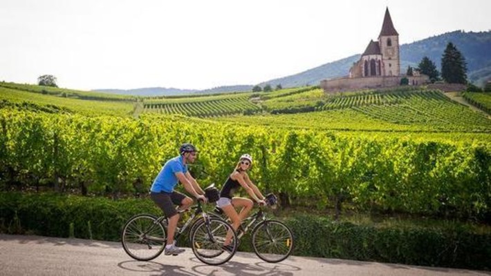 Circuits dans le vignoble ou balades au fil de l'eau... Six id&eacute;es d'itin&eacute;raires &agrave; v&eacute;lo &agrave; travers l'Alsace | Th&eacute;matique Itin&eacute;rance douce | Scoop.it