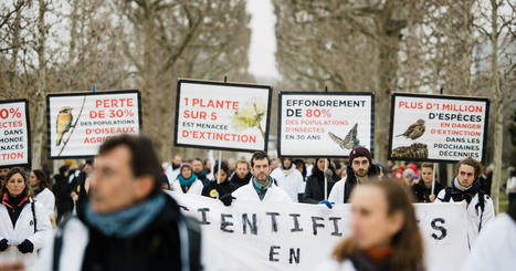 « Une émission directe et délibérée » : deux ONG alertent sur les pesticides de la famille des Pfas | EntomoScience | Scoop.it
