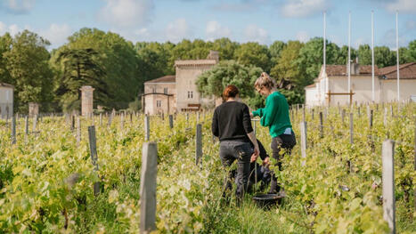 Bordeaux : Starfish Bioscience l&egrave;ve 1,60&nbsp;M&euro; pour r&eacute;g&eacute;n&eacute;rer les microbiotes des sols | Start-ups | Success stories | Scoop.it