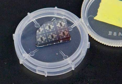 Nickelate Synaptic Transistors Could Improve Parallel Computing | Biomimicry | Scoop.it