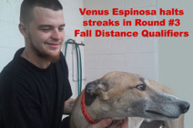 Venus Espinosa halts streaks in third round of Fall Sprint qualifiers | Greyhound Racing | Scoop.it