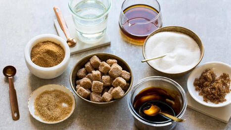 ALIMENTATION : Le fructose ne ferait pas seulement grossir par ses calories : il pousserait aussi l&rsquo;intestin &agrave; absorber davantage de graisses | ALIMENTATIONS | Scoop.it