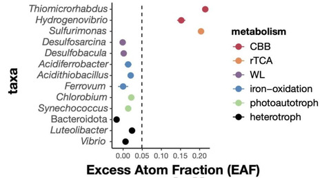 Quantitative stable isotope probing (qSIP)-informed metagenomics identifies viruses infecting chemoautotrophs | Ncm | RMH | Scoop.it