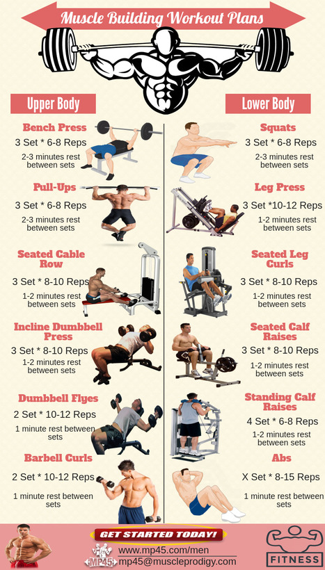 Muscle Building Workout Plans 45 Day Workout