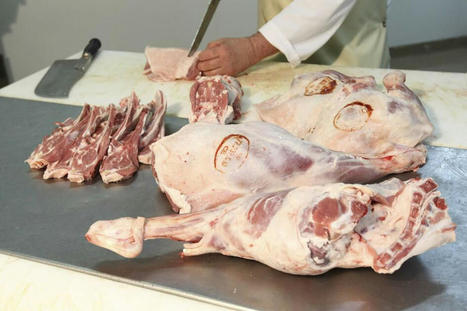 Culture viande alerte sur la concurrence déloyale dans les filières ovine et caprine | Actualité Bétail | Scoop.it