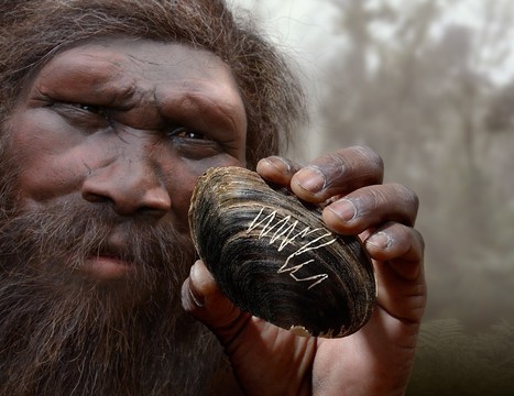 Les gribouillis de l’homme de Java | ACTUALITÉ | Scoop.it