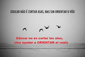 Maestros orientando el vuelo ... /// Píldoras para orientar (VI) | Scoop-it-Ajos para educar y orientar | Scoop.it
