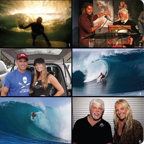 Surfeurs: ce qu'il se passe VRAIMENT à la Réunion - Sea Shepherd FR | Pastoralisme Ours Loups Lynx | Scoop.it