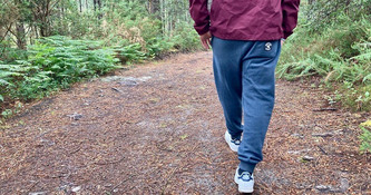 Temp&ecirc;te Nils dans les Landes&nbsp;: des sentiers de randonn&eacute;e resteront interdits d'acc&egrave;s jusqu'au mois de mai - ICI | Landes - Conseils municipaux & communautaires | Scoop.it