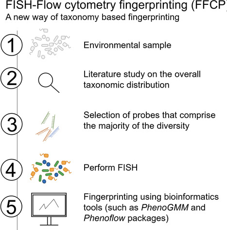 Integrating taxonomic and phenotypic information through FISH-enhanced flow cytometry for microbial community dynamics analysis | msp | RMH | Scoop.it