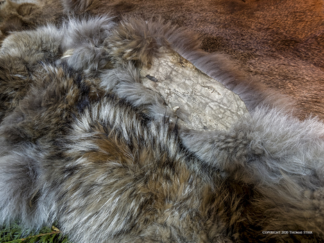 Longhouse at Crawford Lake | Mirrorless Cameras | Scoop.it