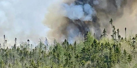 'Apocalyptic scenes' as unprecedented climate-driven wildfires devastate Nova Scotia - RawStory.com | Agents of Behemoth | Scoop.it