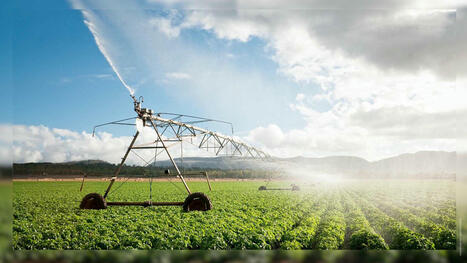 FRANCE : Face aux vagues de chaleur, les agriculteurs proven&ccedil;aux s'adaptent : &laquo; On est sauvegard&eacute; gr&acirc;ce &agrave; l'irrigation &raquo; | CIHEAM Press Review | Scoop.it