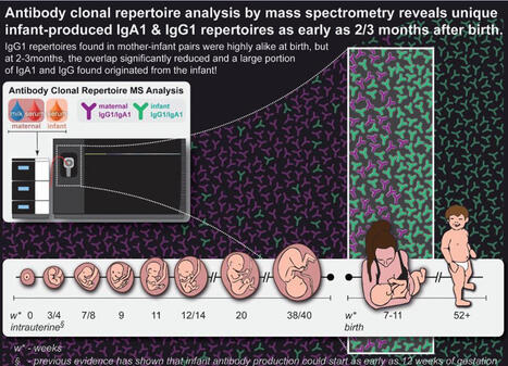 #utrechtuniversity #beijingacademyofscienceandtechnology #zhongnanhospitalofwuhanuniversity #pekinguniversitybeijing #infantimmunity #iga1 #igg1 #antibodyrepertoires #massspectrometry&hellip; | Kelly Ding... | Wuhan, Hubei | Scoop.it