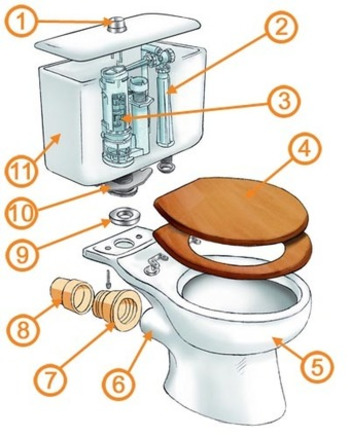 (EN) - Toilets Explained | Melanie Griffiths | Glossarissimo! | Scoop.it