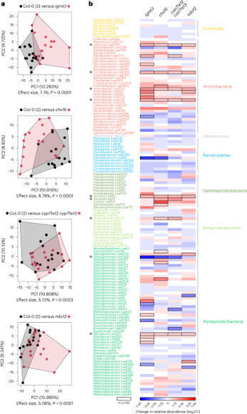 Nat Plants: Plant microbiota feedbacks through dose-responsive expression of general non-self response genes (2024) | Publications from The Sainsbury Laboratory | Scoop.it