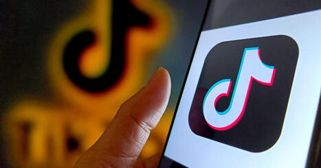 TikTok starts court battle to save China ties &ndash; | Privacy and Data Protection | Scoop.it