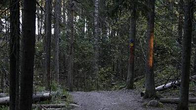 Korona toi ruuhkan luontokohteisiin &ndash; Mets&auml;hallitus pyyt&auml;&auml; v&auml;ltt&auml;m&auml;&auml;n suosituimpia ulkoilupaikkoja - Kotimaa - Ilta-Sanomat | 1Uutiset - Lukemisen t&auml;hden | Scoop.it