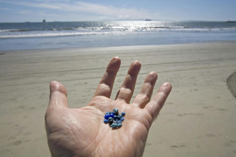 Viruses Can Remain Infectious on Microplastics for Three Days - EcoWatch.com | Operation Deimos | Scoop.it