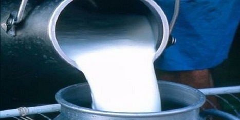 Tunisie : Près de 300 millions de litres de lait passent par les circuits parallèles | Lait de Normandie... et d'ailleurs | Scoop.it