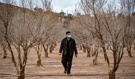 Face à la sécheresse, le Maroc débloque une aide d'urgence d'un milliard d'euros - Arabnews fr | Gestion Durable des Ressources | Scoop.it