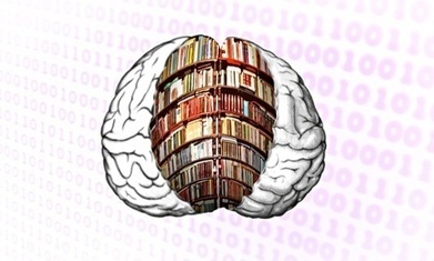 "Humans use 10% of their brain" and other brain baloney have no place in the classroom | Education 2.0 & 3.0 | Scoop.it